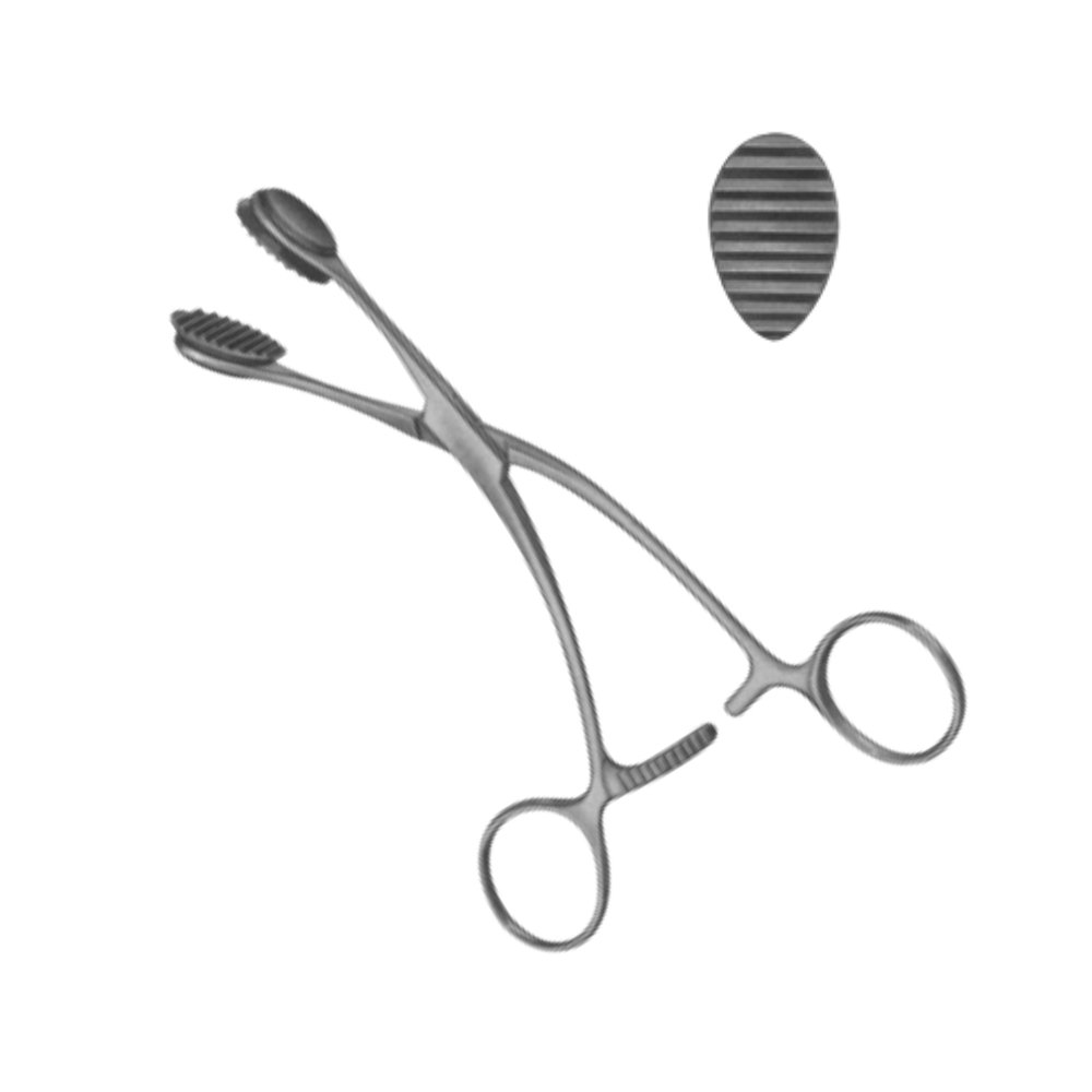 01-139 YOUNG Tongue Forceps Size 165 mm YOUNG Tongue Forceps Size 165 mm - Image 1