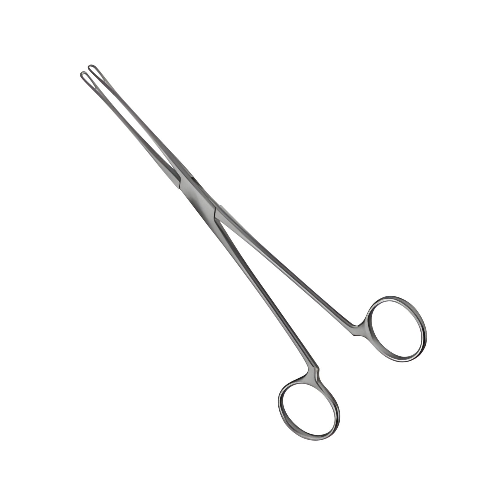08-171 BLAKE 205 mm Blake Forceps 205 mm - Image 1