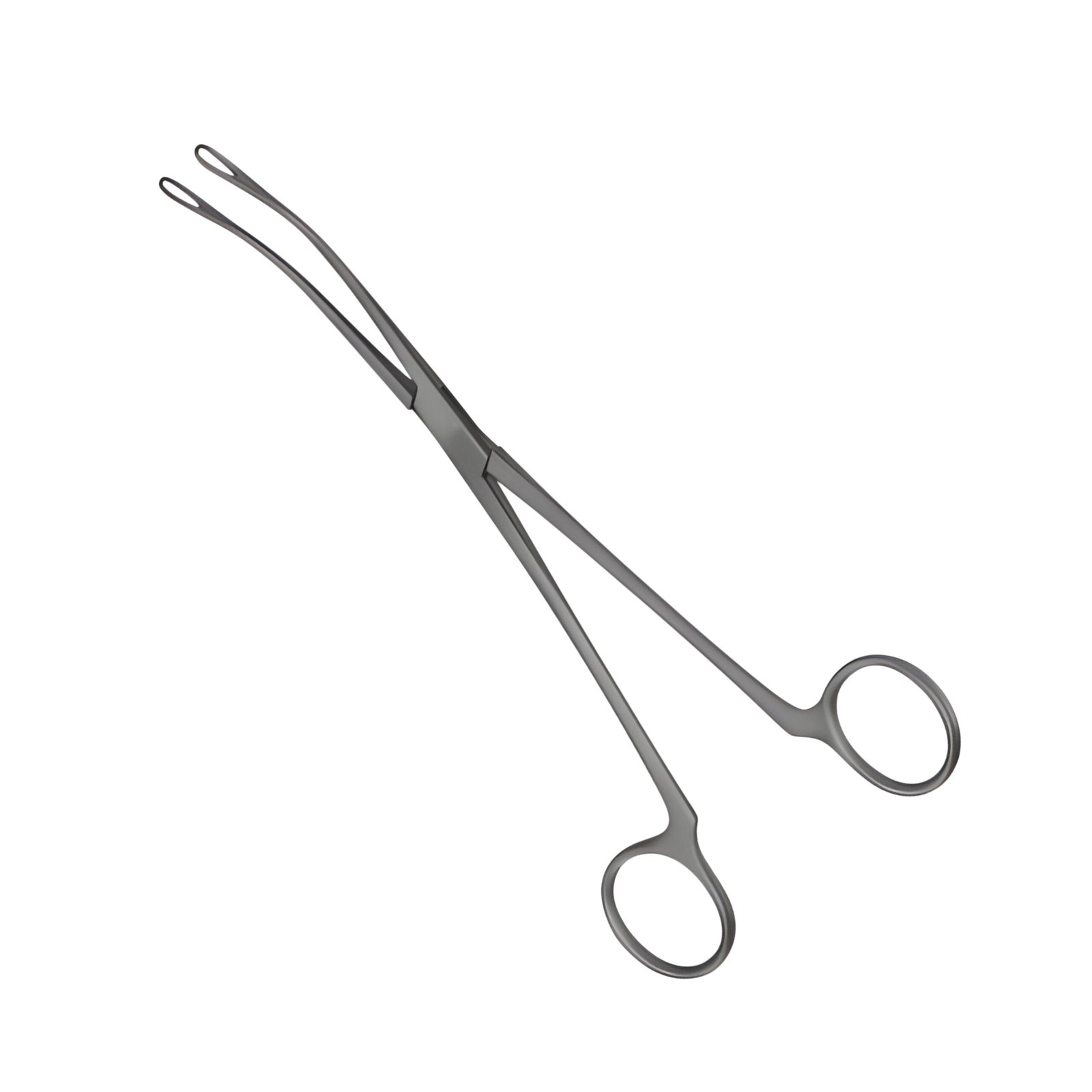 08-172 BLAKE 205 mm Blake Forceps 205 mm - Image 1