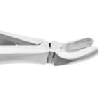 Extracting Forceps Fig. 17 Upper Molars Right - Image 2