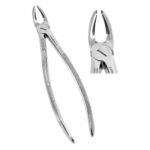 Extracting Forceps Fig. 21 Lower Molars