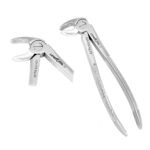 Extracting Forceps Fig. 22 Lower Molars