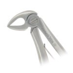 Pedo Extracting Forceps English Pattern Klein #7 Lower Roots - Image 3