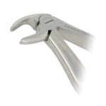 Pedo Extracting Forceps English Pattern Klein #7 Lower Roots - Image 2