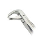 Extracting Forcep Fig 169 - Image 2