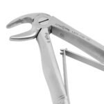 Pedo Extracting Forceps English Pattern Klein #5 Lower Incisors - Image 2
